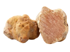Weißer Trüffel